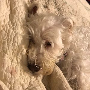 Meet your Posher, Valorie